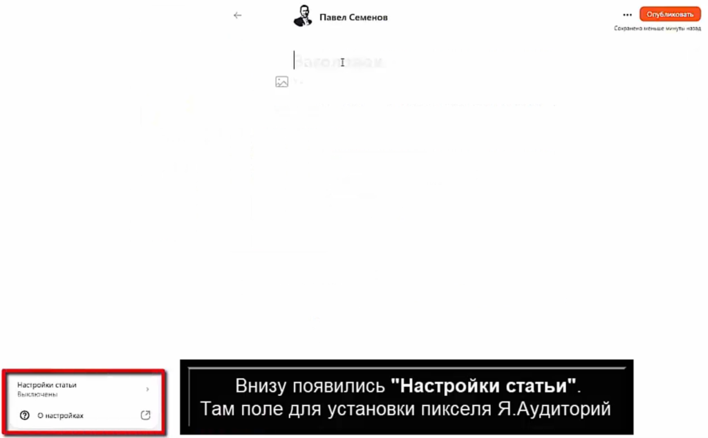 Внизу появились настройки статьи